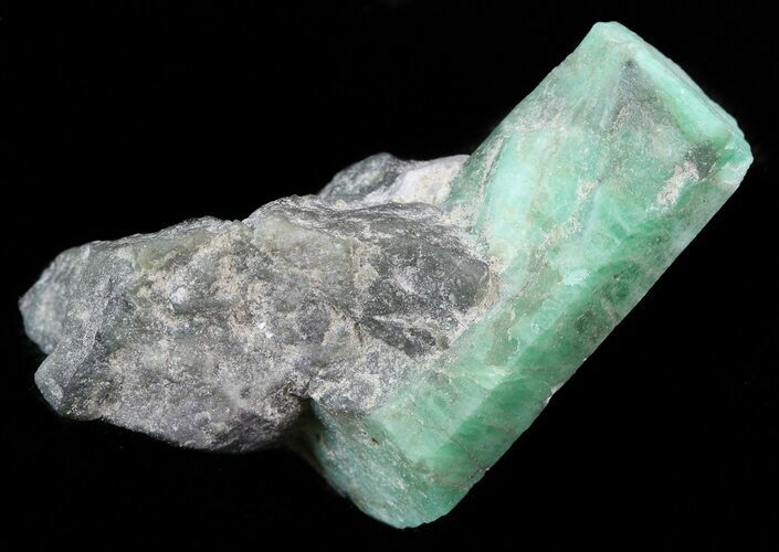 Beryl Emerald in Schist - Bahia, Brazil #44106